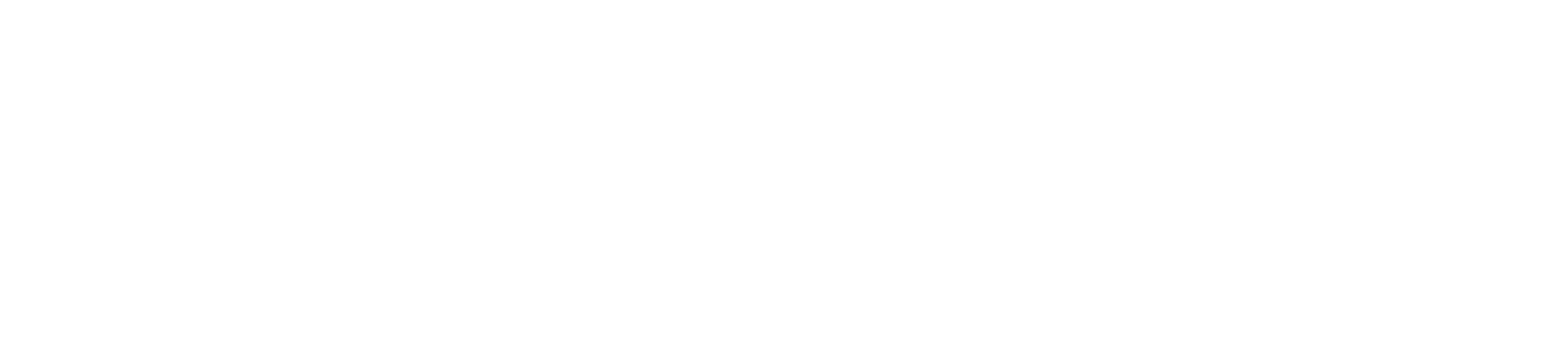 Spacesaftey.org logo